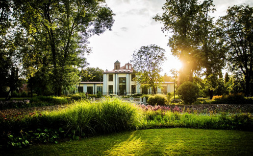 3_Monika Krilaviciene 2019 07 Bernardinu parkas Bernardinai vasara vakaras_1_0.jpg